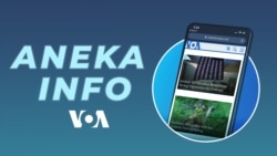 Tergolong Langka Kue Lapis Indonesia Laris di AS 