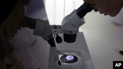 在北京第21届国际科技产业博览会上有人在通过显微镜看电脑晶片 (2018年5月17日)