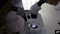 在北京第21届国际科技产业博览会上有人在通过显微镜看电脑晶片 (2018年5月17日)