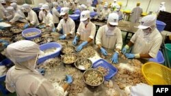 Công nhân làm việc trong công ty chế biến thủy sản