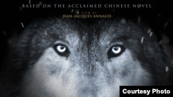 Oregon, Madras’tan güneş tutulması görüntüsü. Amerika’da Oregon’dan Güney Carolina’ya kadar güneş tutulması yaşandı.