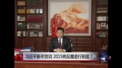 时事大家谈：习近平新年贺词，2015将反腐进行到底？