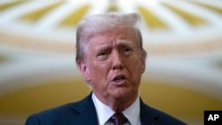 Presiden terpilih Amerika Serikat Donald Trump berbicara kepada para wartawan usai pertemuan dengan jajaran pemimpin Partai Republik di Washington, 8 Januari 2025. (Foto: Jose Luis Magana/AP Photo)