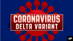 新冠病毒德尔塔变异毒株示意画。(美联社)