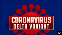 新冠病毒的变异病毒株德尔塔(Delta variant)已经出现在14个中国省份。