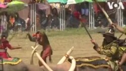 Surin ခရိုင်ယဉ်ကျေးမှုပွဲတော် Surin ခရိုင်ယဉ်ကျေးမှုပွဲတော်