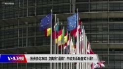 时事大家谈:投资协定冻结 立陶宛“退群”,中欧关系断崖式下滑? 时事大家谈:投资协定冻结 立陶宛“退群”,中欧关系断崖式下滑?