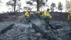 囚犯参与灭火从灰烬中寻找重生的希望