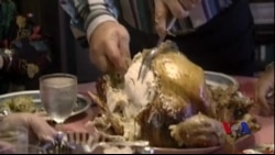 美国人和游客思考感恩节含义 美国人和游客思考感恩节含义