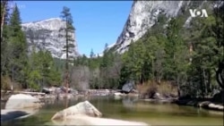 人类居家隔离 野生动物找到新天地 人类居家隔离 野生动物找到新天地