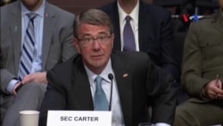 Bộ trưởng Quốc phòng Mỹ tỏ ý ủng hộ dỡ bỏ cấm vận vũ khí đối với VN Bộ trưởng Quốc phòng Mỹ tỏ ý ủng hộ dỡ bỏ cấm vận vũ khí đối với VN
