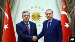 土耳其总统埃尔多安(右)与格鲁吉亚总理克维里卡什维利会面(2016年7月19日)