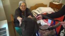 治疗犬帮助疗养院居民脱离孤独的痛苦 治疗犬帮助疗养院居民脱离孤独的痛苦