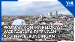 Pro dan Kontra Relokasi Warga Gaza di tengah Alotnya Perundingan Pro dan Kontra Relokasi Warga Gaza di tengah Alotnya Perundingan