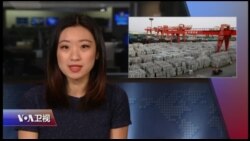 周末专辑 完整版（2018年2月17日）