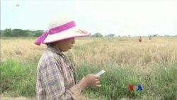 ဒီသီတင်းပတ် အာရှစီးပွားရေး ဒီသီတင်းပတ် အာရှစီးပွားရေး