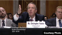 美国国务院官员佩恩特出席参议院有关网络安全战略的听证会。(图片来源:美国参议院)