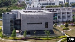 中国科学院武汉病毒所