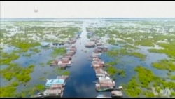 柬埔寨人主要蛋白质来源洞里萨湖鱼类濒危