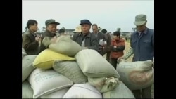 大米铅含量超标问题日益严重 大米铅含量超标问题日益严重