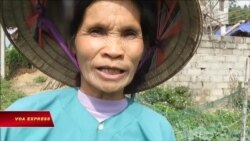 Nông dân miền Đông Bắc Nông dân miền Đông Bắc