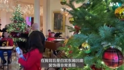 白宫节日装饰亮相 庆祝“和平与光明的季节” 白宫节日装饰亮相 庆祝“和平与光明的季节”