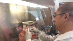 Covid 19 ရောဂါပိုးကူးစက်မှု ရှိမရှိ စမ်းသပ်နည်း Covid 19 ရောဂါပိုးကူးစက်မှု ရှိမရှိ စမ်းသပ်နည်း