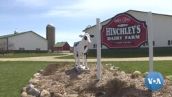 VOA英语视频: 为什么食品供应紧张 而农民生产繁忙如常 VOA英语视频: 为什么食品供应紧张 而农民生产繁忙如常