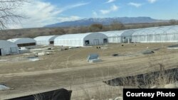 新墨西哥州纳瓦霍族保留地部分被查封的大麻农场 (Lynn Sanchez 拍摄)