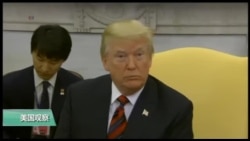 川普:保证金正恩安全,川金会或延期,未对中兴软化 川普:保证金正恩安全,川金会或延期,未对中兴软化