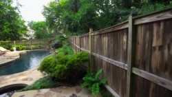 社区泳池因新冠关闭 人们开始出租私人泳池 社区泳池因新冠关闭 人们开始出租私人泳池