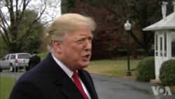 特朗普为向移民大军使用催泪瓦斯辩护 特朗普为向移民大军使用催泪瓦斯辩护