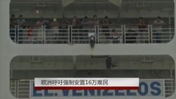 欧洲呼吁强制安置16万难民 欧洲呼吁强制安置16万难民