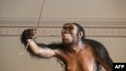 ኣብ ፕራግ ንምርኢት ዝቐረበት ሉሲ