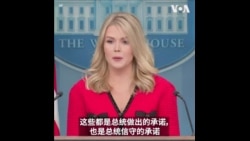 白宫：2月1日起对中国征收10%关税