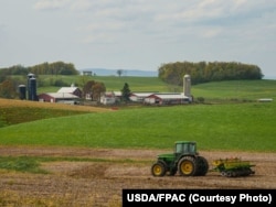 资料照:美国马里兰州的一块农田(2020年4月29日)。