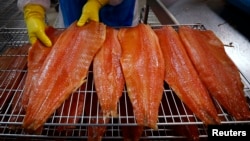 Một nhân viên kiểm tra philê cá hồi tại nhà máy chế biến.