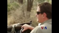 南非犀牛惨遭偷猎者捕杀 南非犀牛惨遭偷猎者捕杀