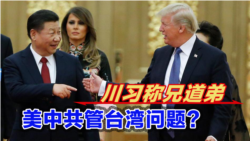 海峡论谈:川习称兄道弟 美中共管台湾问题? 海峡论谈:川习称兄道弟 美中共管台湾问题?