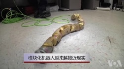 模块化机器人越来越接近现实 模块化机器人越来越接近现实