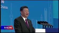 焦点对话:上海进博会冷场,习近平“主场外交”陷尴尬? 焦点对话:上海进博会冷场,习近平“主场外交”陷尴尬?