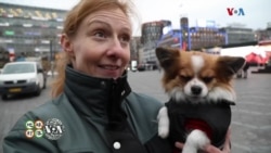 周末专辑(2020年3月14日)