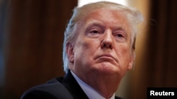 美国总统特朗普在白宫举行内阁会议。(2019年1月2日)