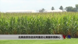 北美自贸协定谈判重启让美国农民揪心 北美自贸协定谈判重启让美国农民揪心