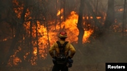 一名美国加州的消防队员监察着山火火情。(2020年10月2日)