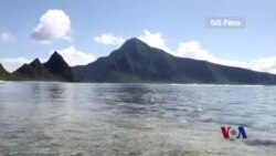 适应地球升温的珊瑚 适应地球升温的珊瑚