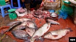 Hội nghề cá Việt Nam khuyến cáo người dân không dùng cá đánh bắt trong thời gian này. Kết quả phân tích mẫu nước tại Lăng Cô cho thấy cá chết do nước biển có chất độc cực mạnh và nước biển ở những khu vực này bị nhiễm kim loại nặng. 