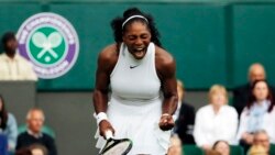 Wimbledon အမျိုးသမီးတင်းနစ် Serena Williams ဗိုလ်စွဲ Wimbledon အမျိုးသမီးတင်းနစ် Serena Williams ဗိုလ်စွဲ