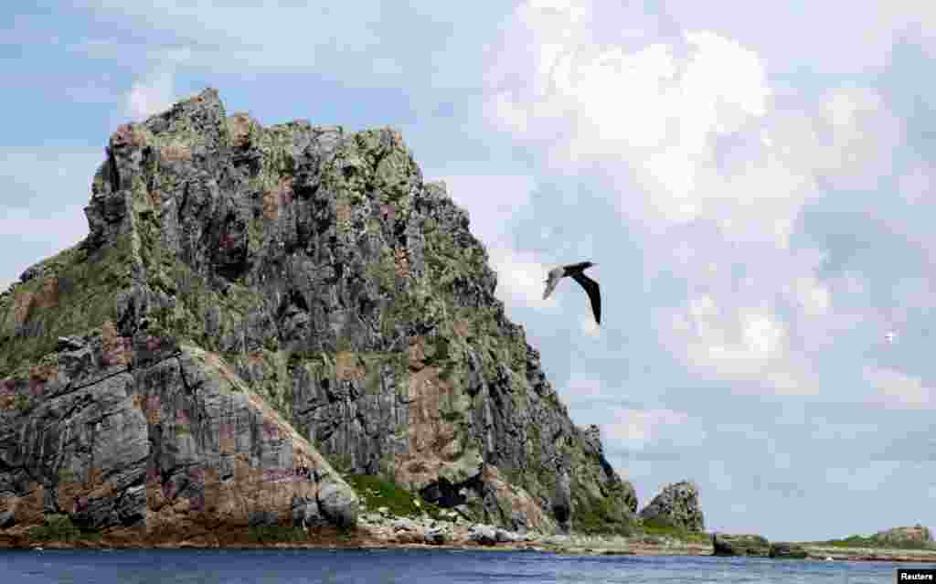 Đảo Kita Kojima trong nhóm đào Senkaku. Trung Quốc gọi đảo này là  Bắc Tiểu Đảo.