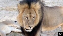 영국 런던 그렌펠 아파트 화재사고 현장 주변에 희생자를 추모하는 꽃다발과 '아버지의 날' 카드가 놓여있다.